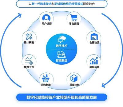 構(gòu)建高效、可持續(xù)的數(shù)字生態(tài)系統(tǒng) 標(biāo)桿項(xiàng)目實(shí)施辦法與數(shù)字技術(shù)服務(wù)路徑